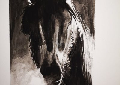 Animali